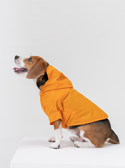 Tribeca Adjustable Dog Raincoat — Egg Yolk