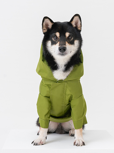 Tribeca Adjustable Dog Raincoat — Olive