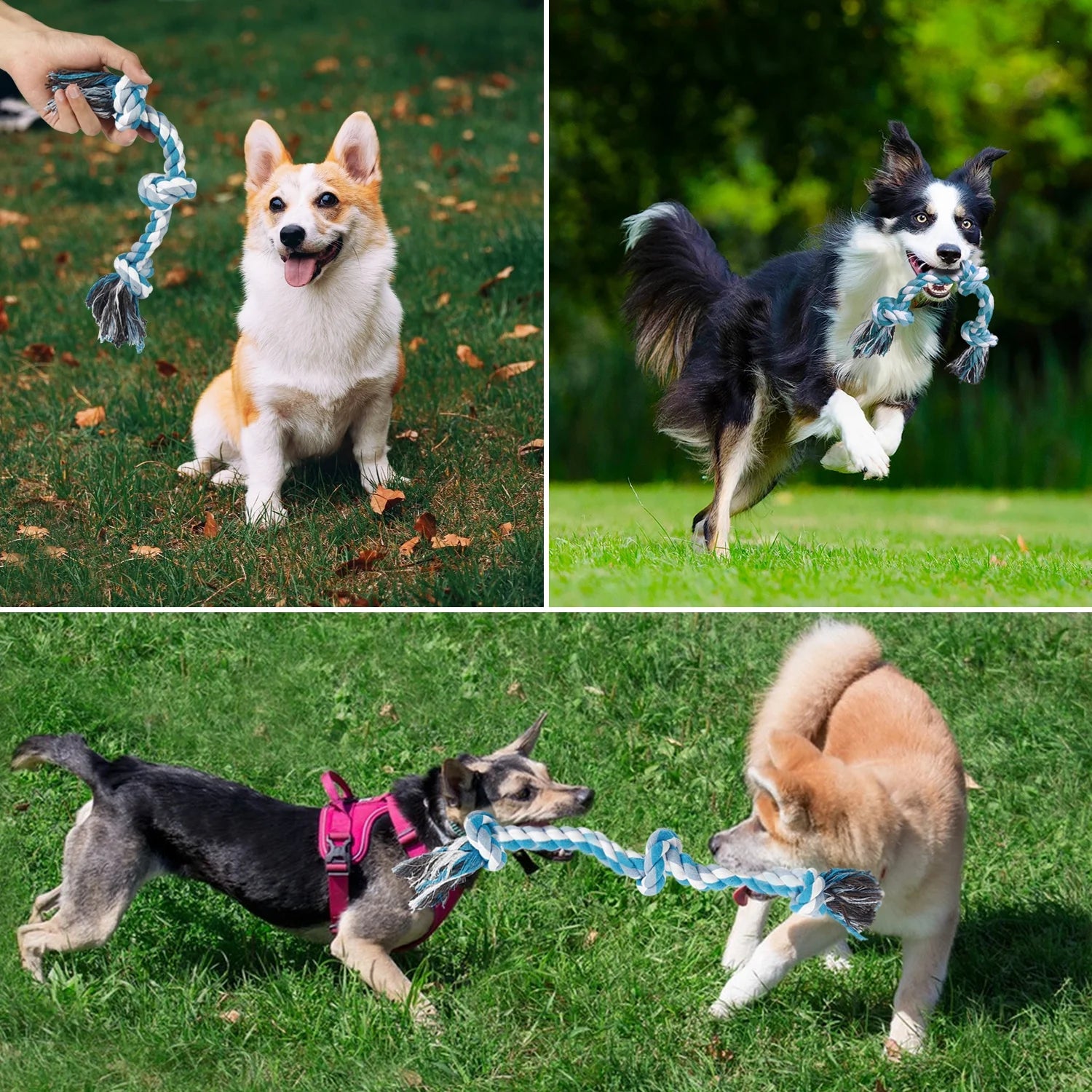Vivifying Dog Rope Toys, 3 Knots Durable Braided Cotton Pet Chew Rope Toys for Dog and Puppy Teeth Cleaning(Blue) , Best Gift for Your Pet