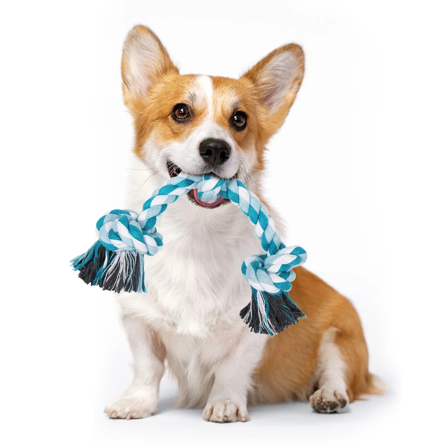Vivifying Dog Rope Toys, 3 Knots Durable Braided Cotton Pet Chew Rope Toys for Dog and Puppy Teeth Cleaning(Blue) , Best Gift for Your Pet