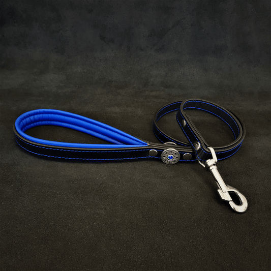 Bijou Leather Dog Leash — Blue